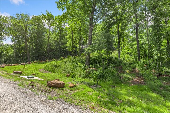 Property Photo: Lot 100 Restore Ridge AR 72601