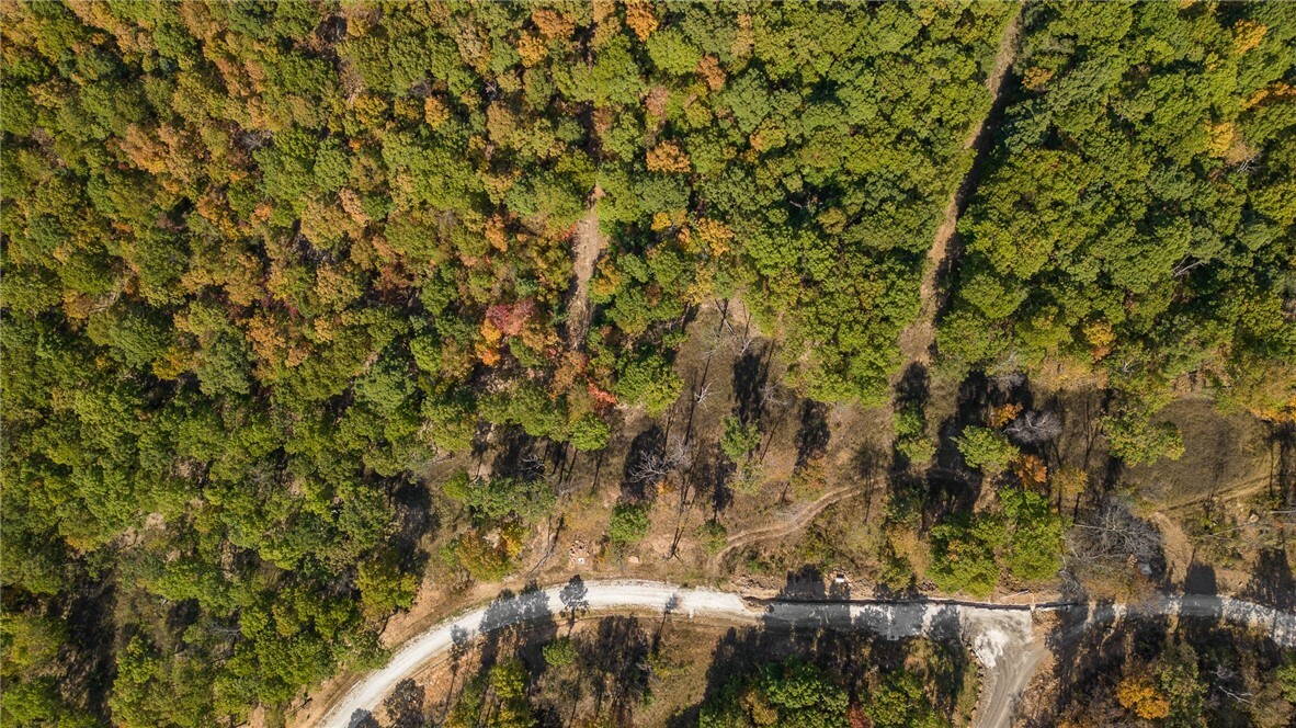 Property Photo:  Lot 87 Restore Ridge  AR 72601 