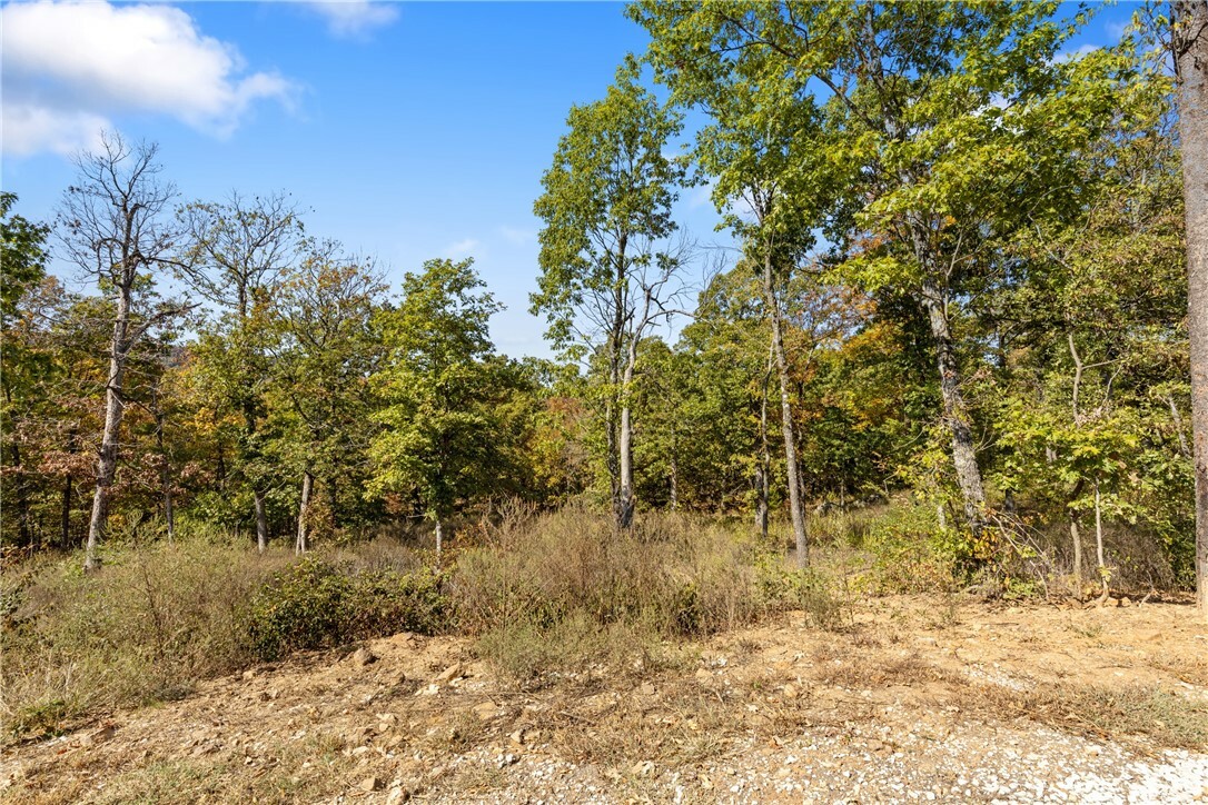 Property Photo:  Lot 83 Restore Ridge  AR 72601 