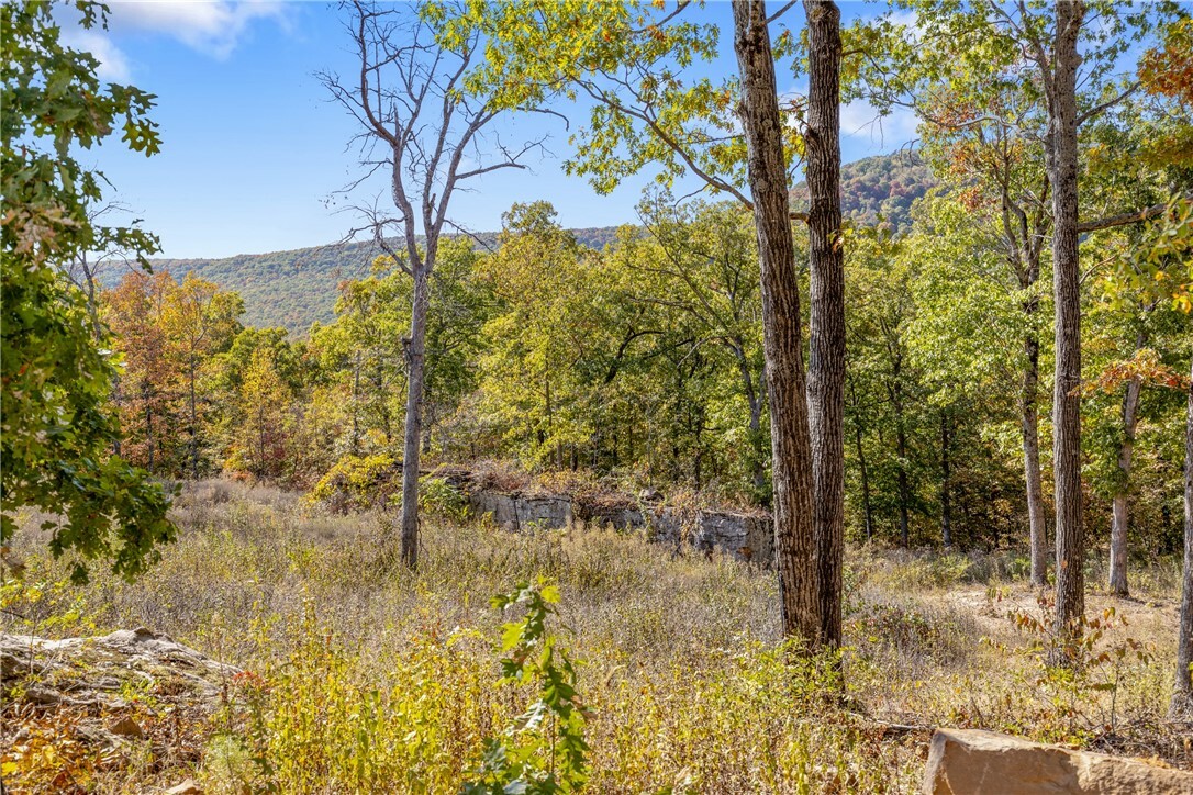 Property Photo:  Lot 74 Restore Ridge  AR 72601 