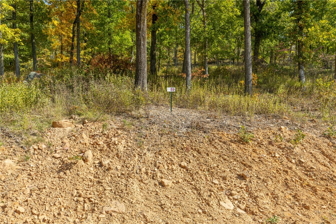 Property Photo:  Lot 59 Restore Ridge  AR 72601 