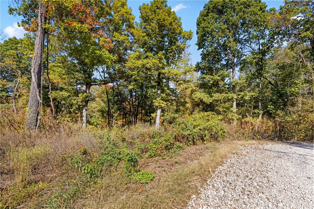 Property Photo:  Lot 94 Restore Circle  AR 72601 