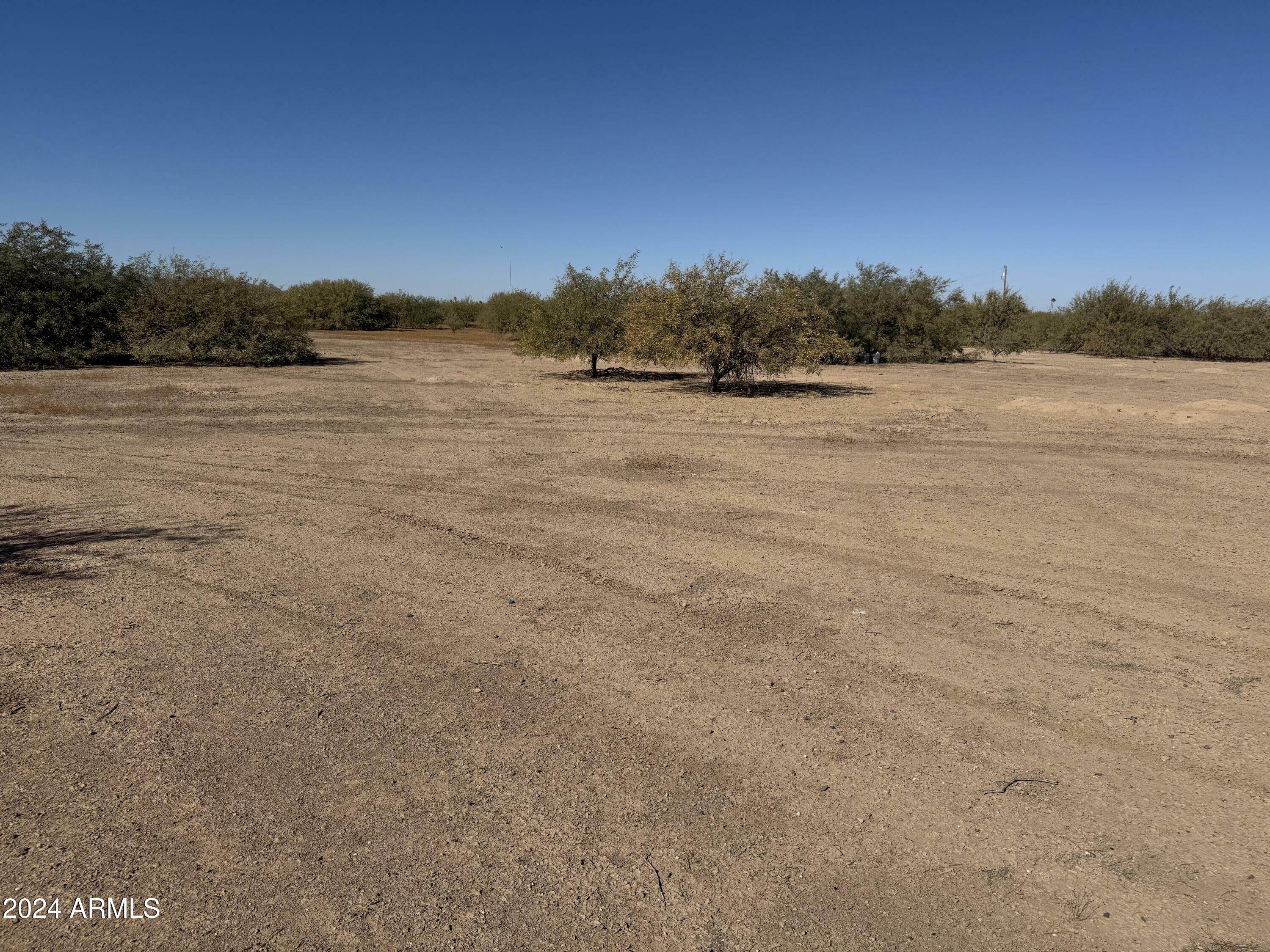 Property Photo:  3350 W Pacific Drive 5  AZ 85131 