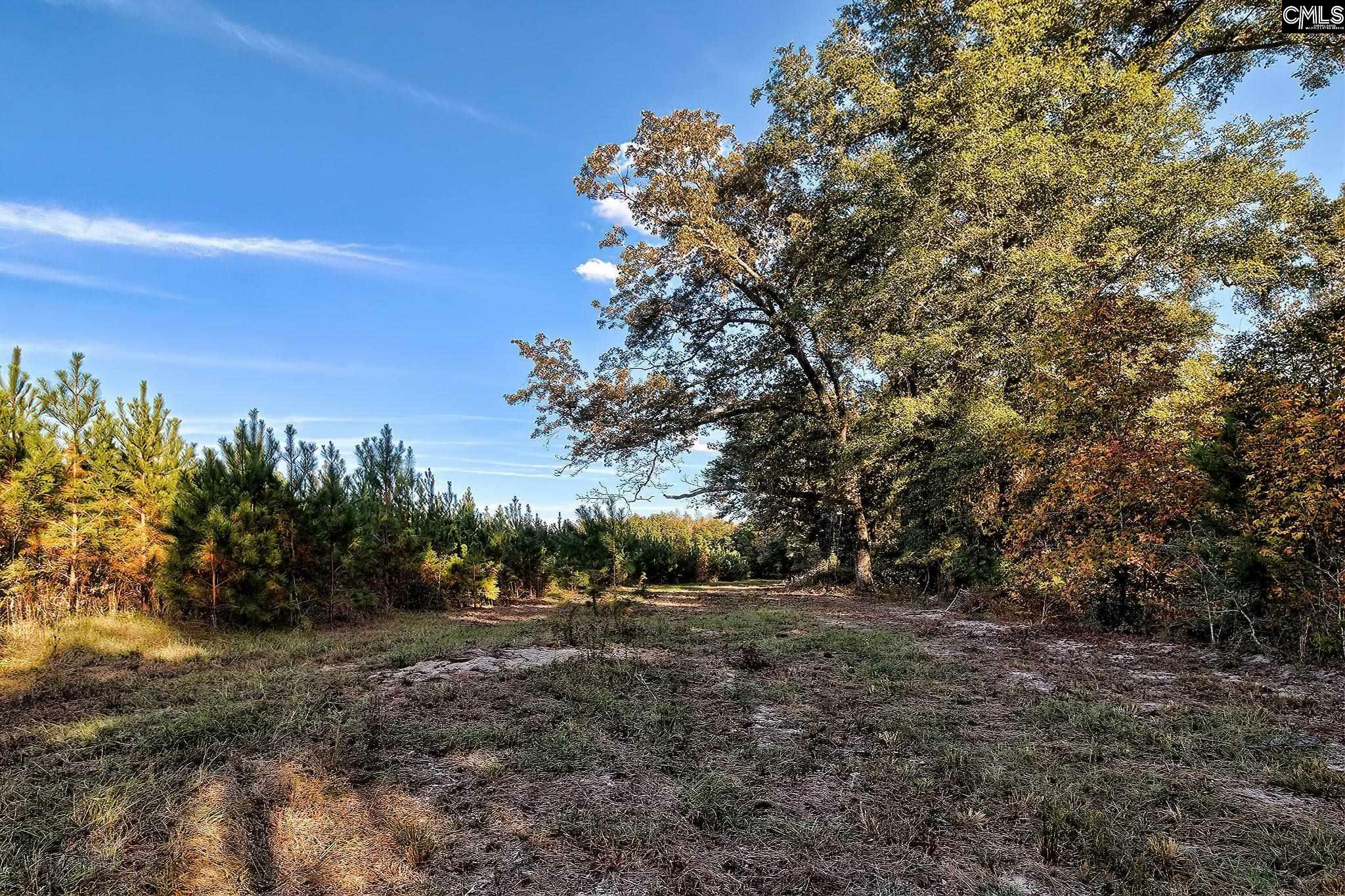 Property Photo:  00 Broxton Bridge  SC 29081 