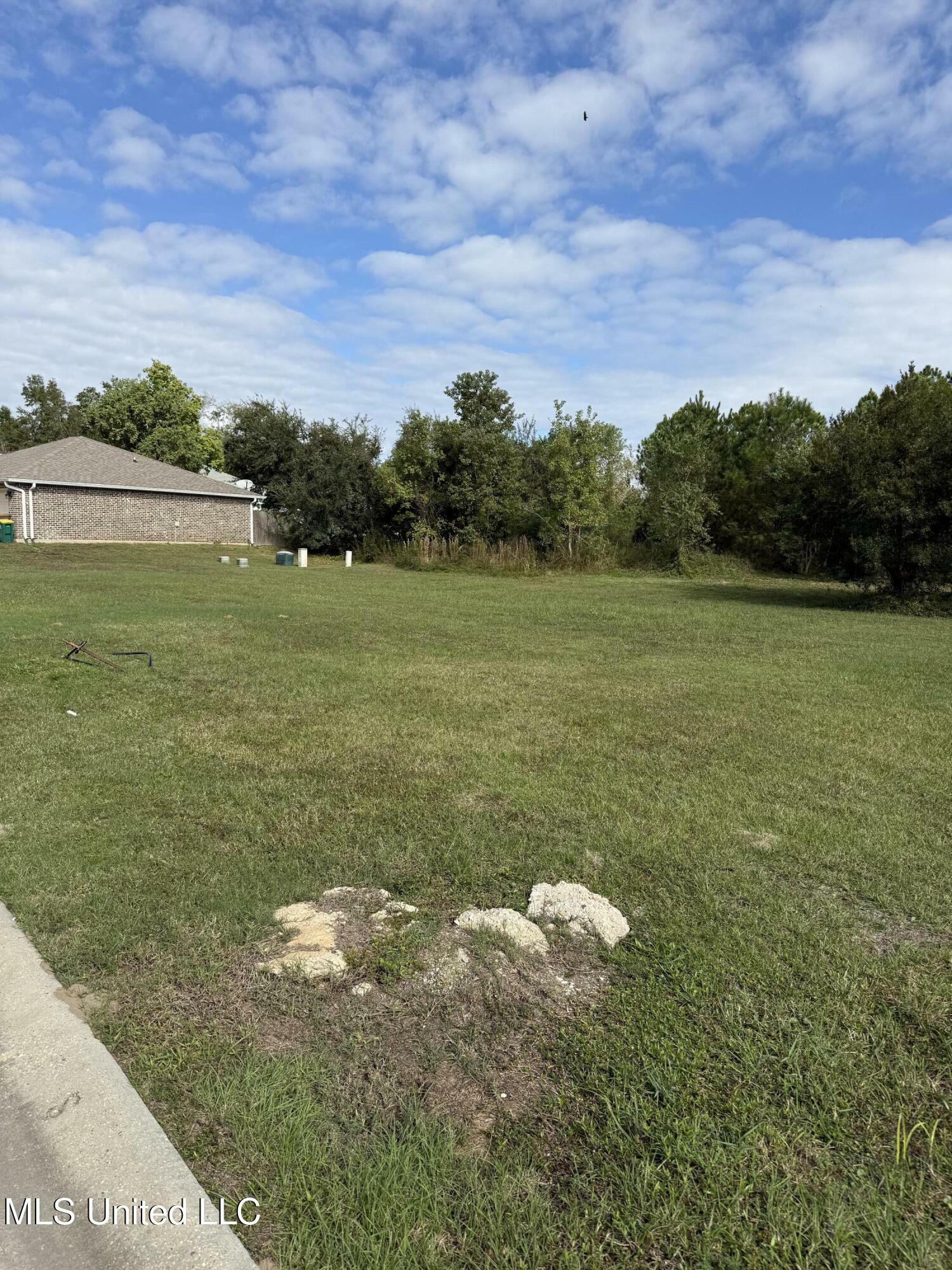 Property Photo:  75 Oak Ally Lane  MS 39560 