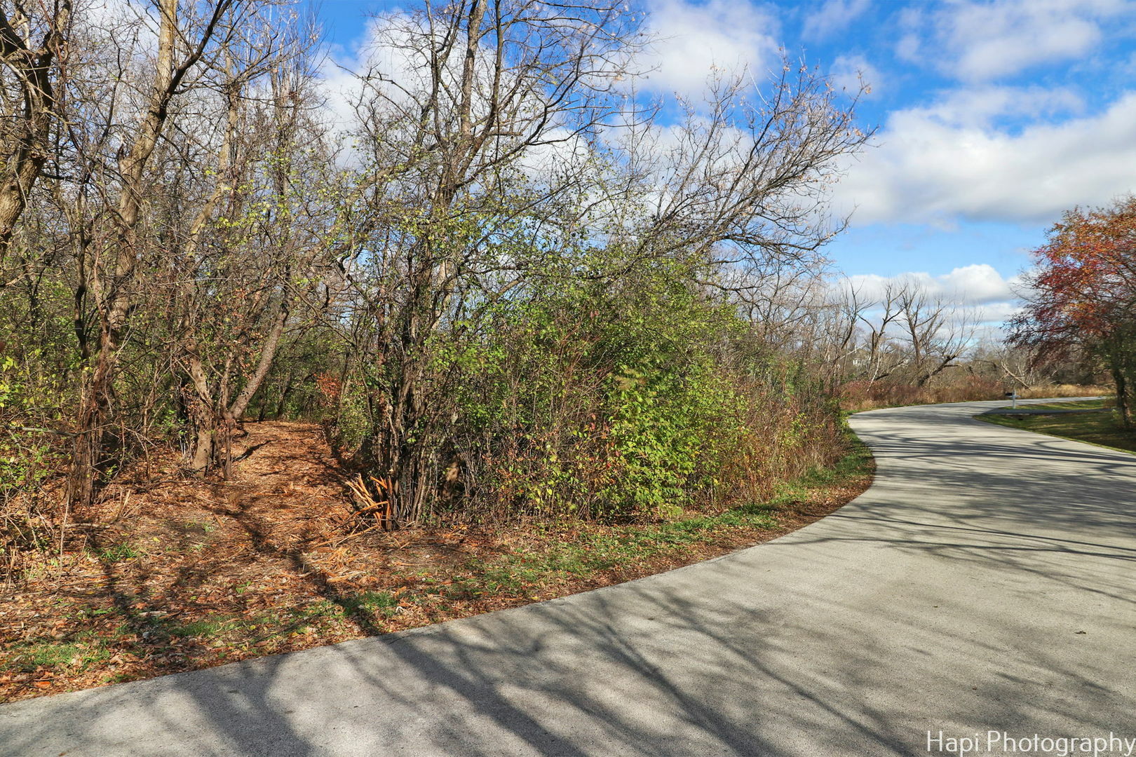 Property Photo:  52 Overbrook Road  IL 60010 