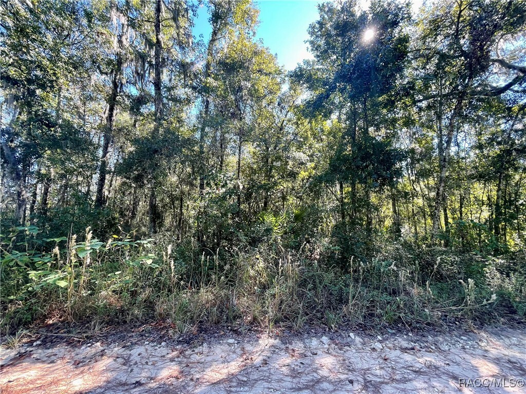 Property Photo:  13232 SW 18th Street Road  FL 34481 