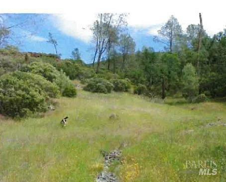 Property Photo:  0 Snell Valley Rd./Butts Canyon Road  CA 94567 