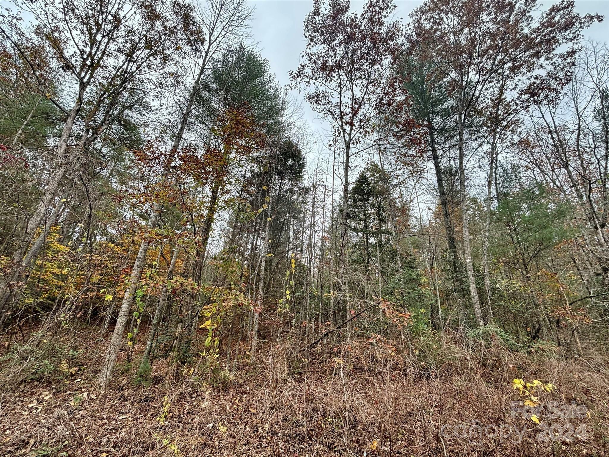 Property Photo:  0 Jonestown Road  NC 28018 