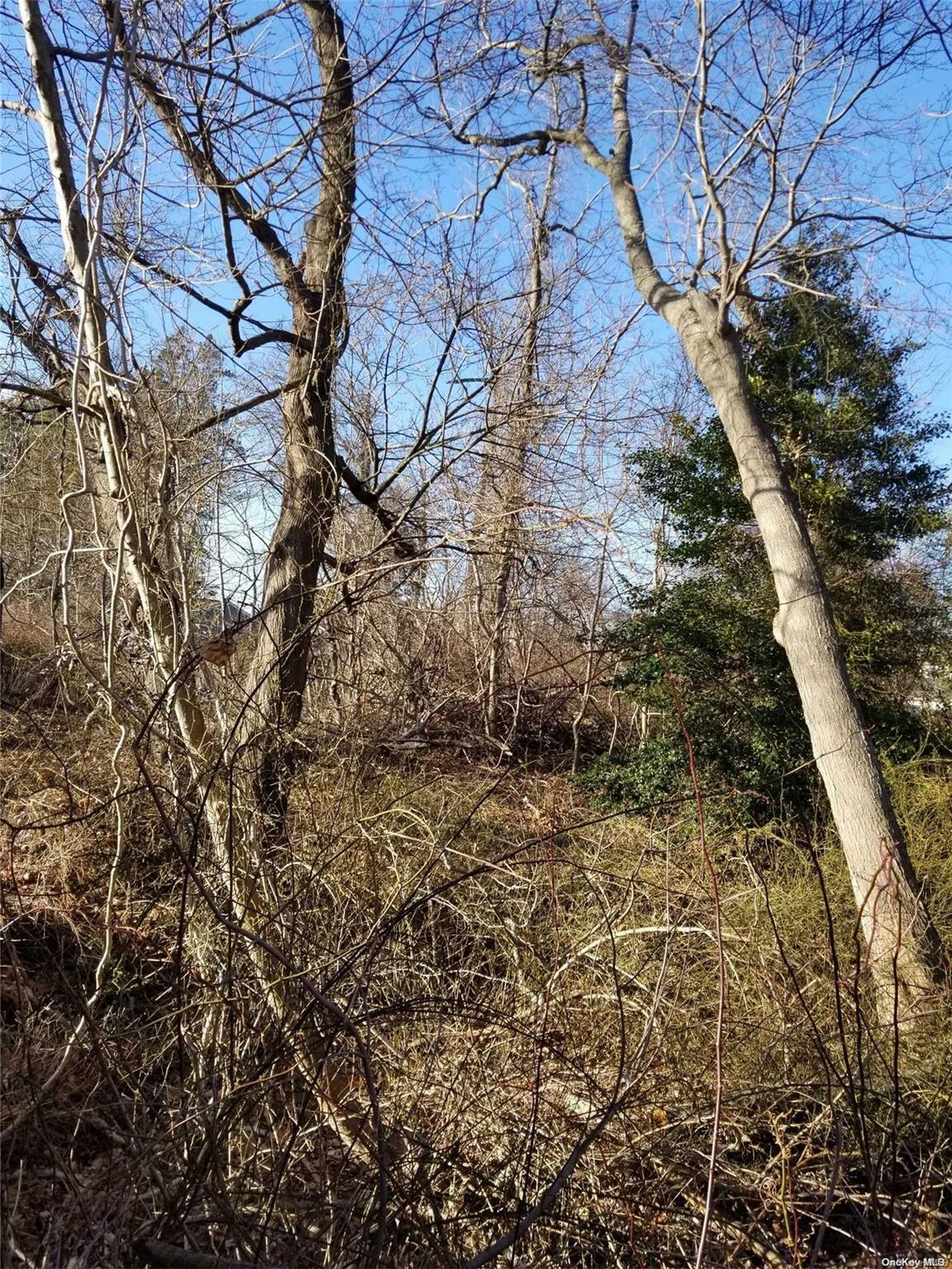 Property Photo:  V/L Boyle Lane  NY 11772 