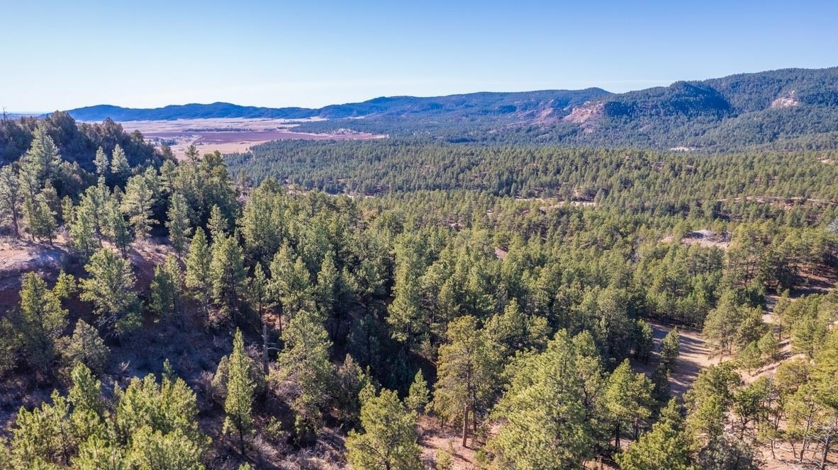 Property Photo:  Lot 2 1238 Beaver Creek Road  WY 82701 