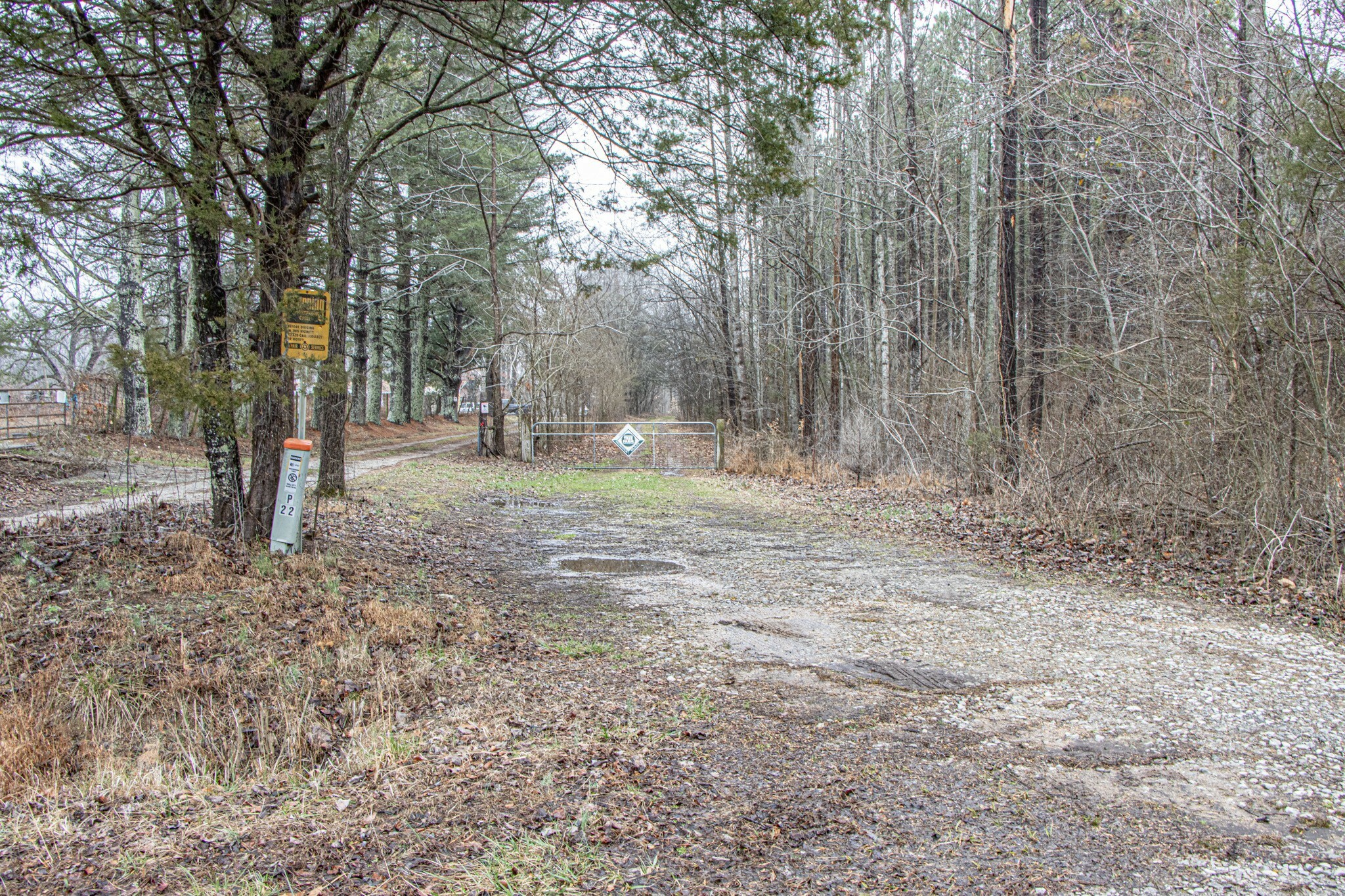 Property Photo:  0 Pea Ridge Road  TN 37355 