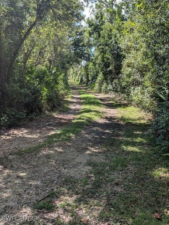 Property Photo: 39200 Cook Brown Road FL 33982