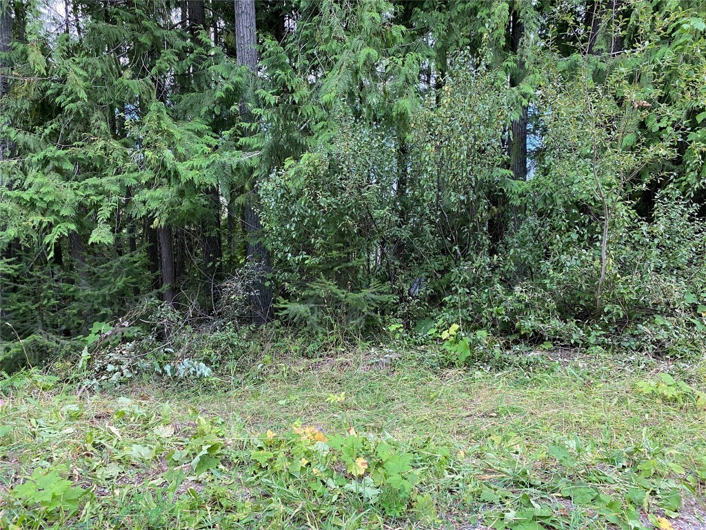 Property Photo:  Lot 65 Castle Heights  BC V0E 1M8 