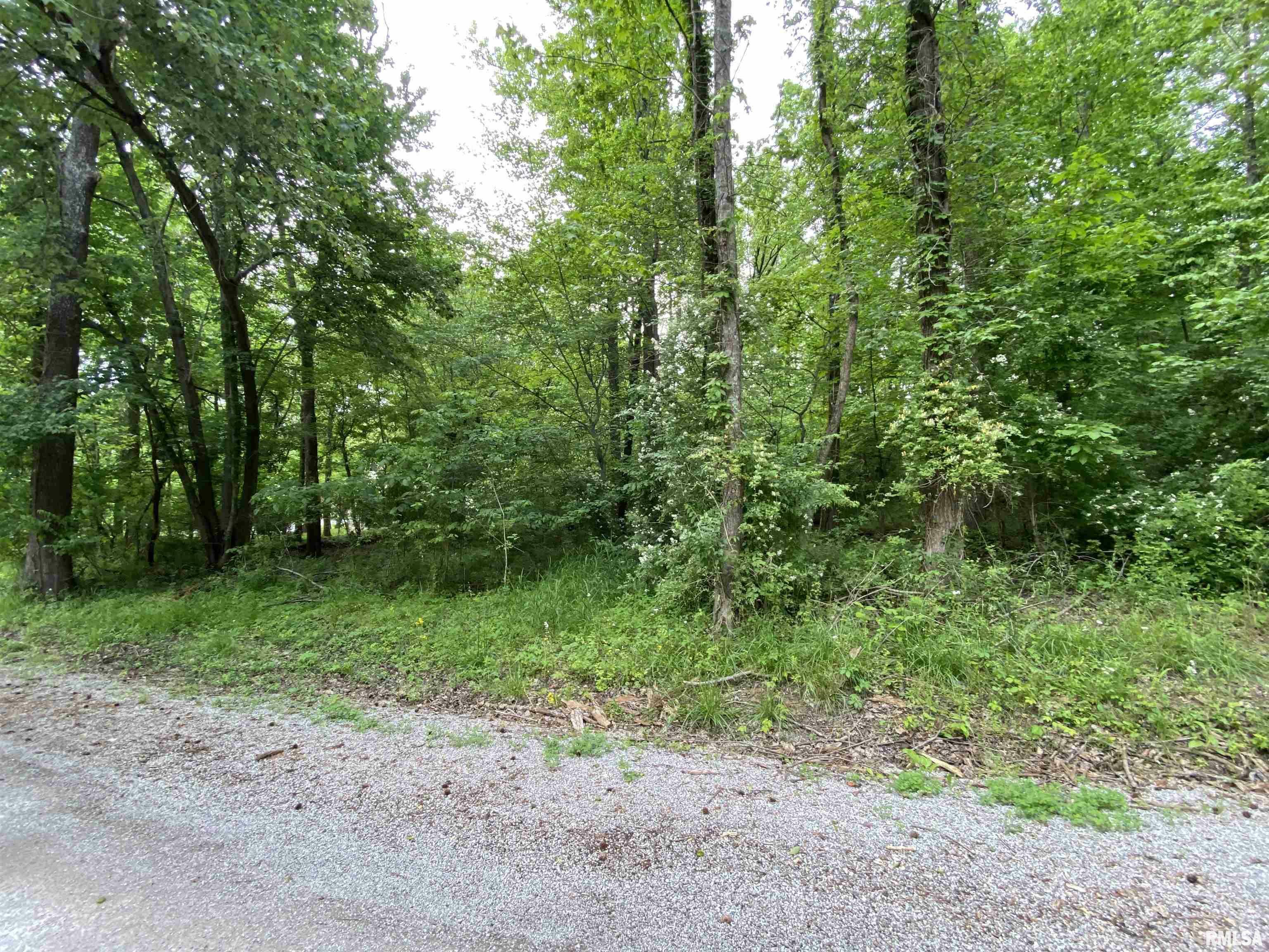 Property Photo: Lot 4 Choctaw Drive IL 62901