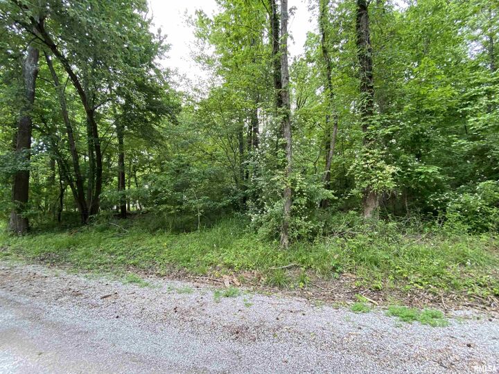 Property Photo:  Lot 4 Choctaw Drive  IL 62901 