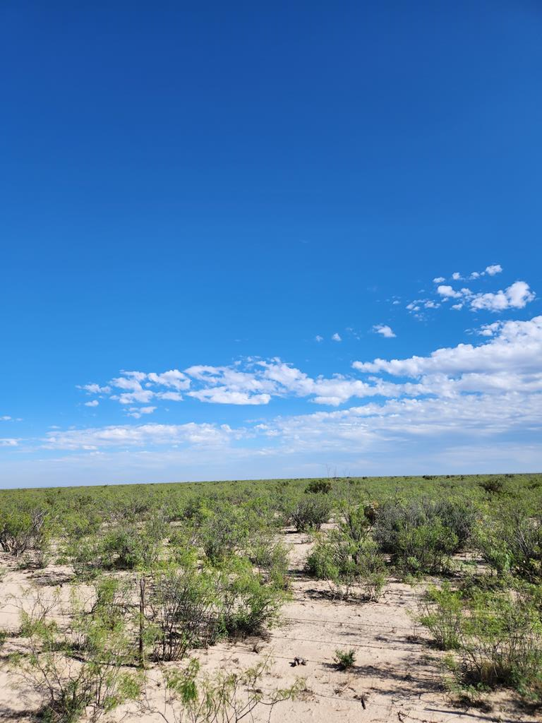 Property Photo: Tbd 7 Mile Rd TX 79743