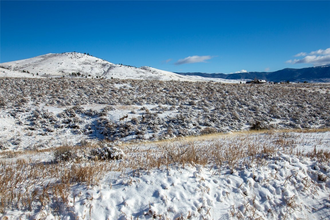 Property Photo:  Tract 4 Shining Mountain West  MT 59740 