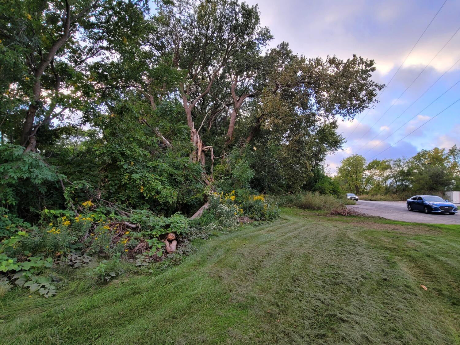 Property Photo:  3606 Sheffield Avenue  IN 46327 
