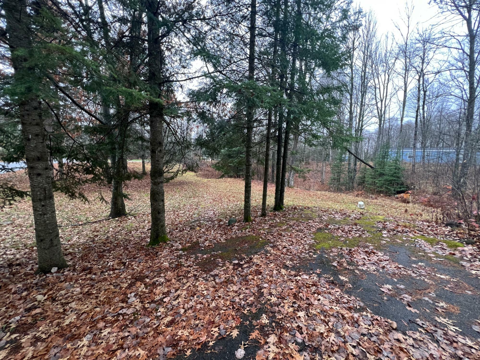 Property Photo:  2925 Elm Ln  WI 54566 