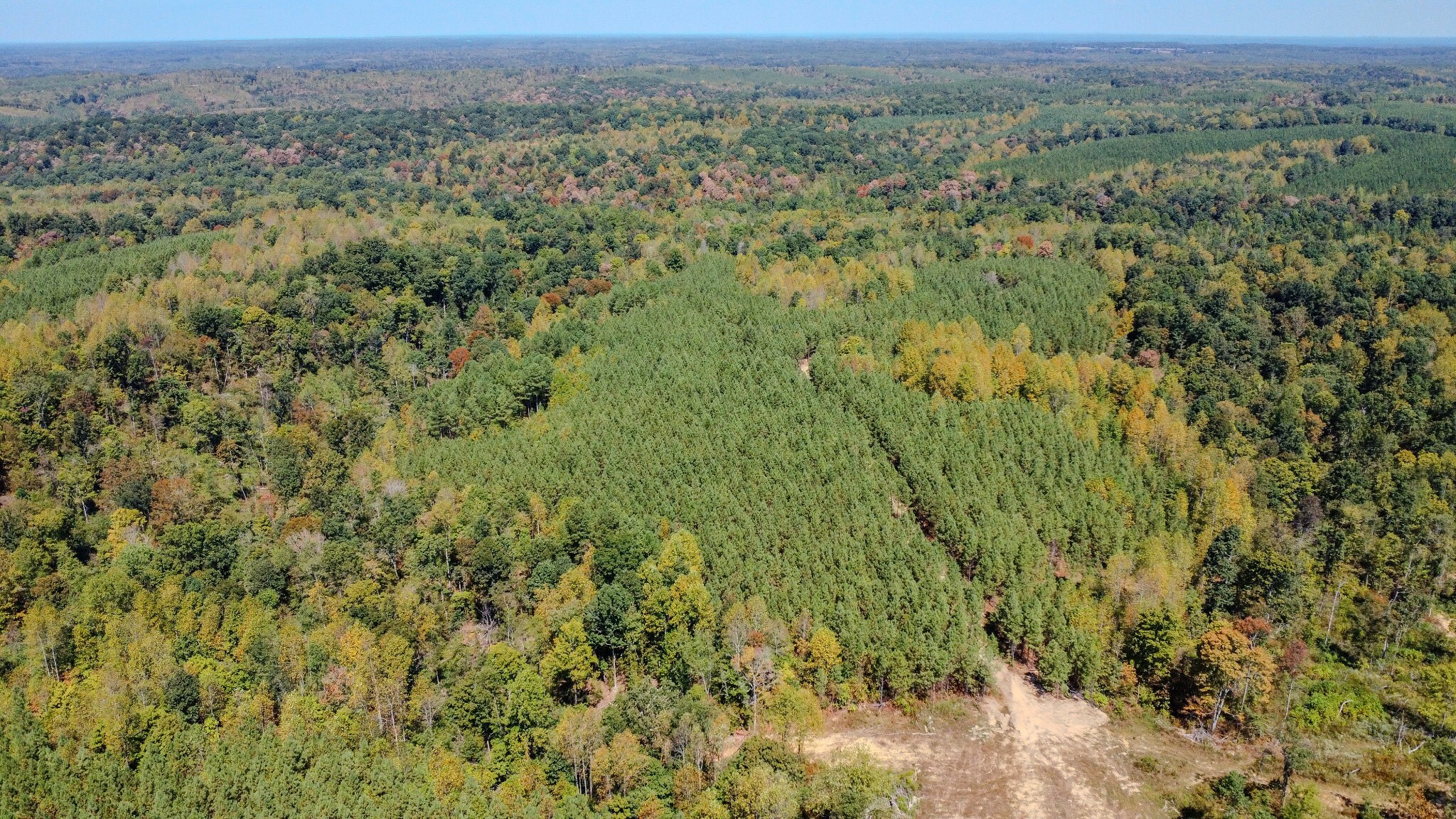Property Photo: 0 Hurricane Road NE TN 37175