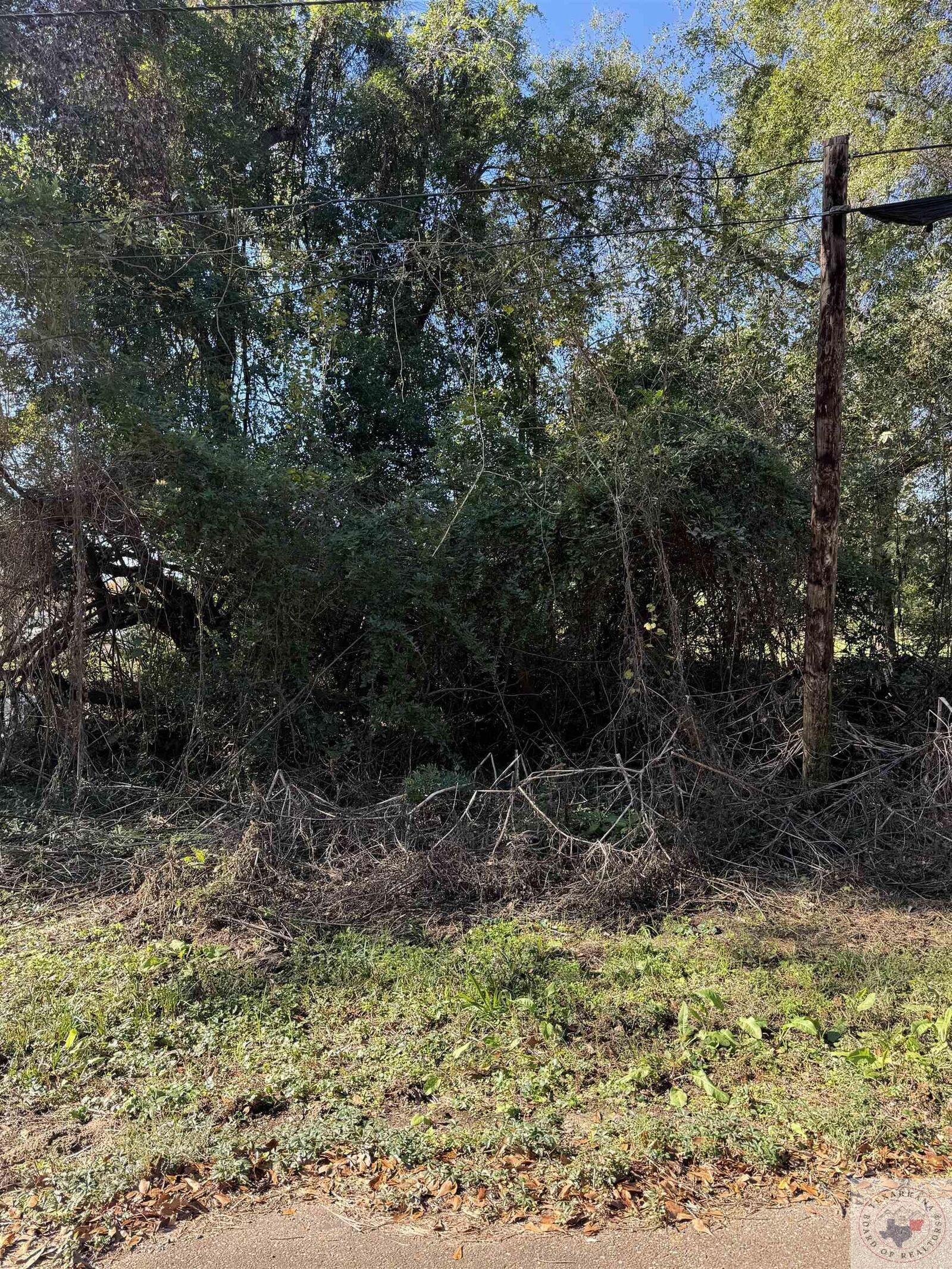 Property Photo:  0 Tbd2 Ann St  TX 75501 