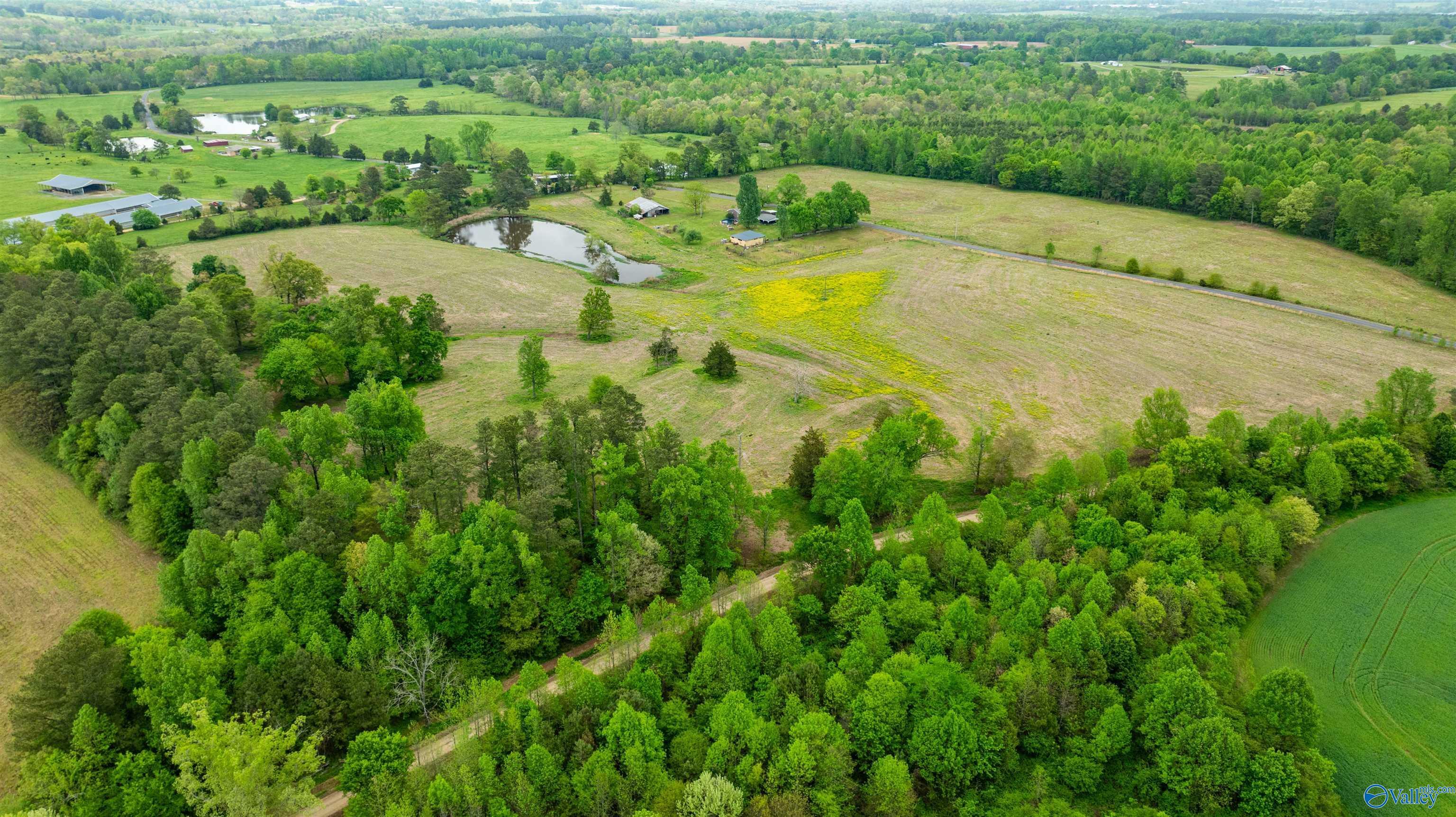 Property Photo:  12 Acres County Road 318  AL 35963 