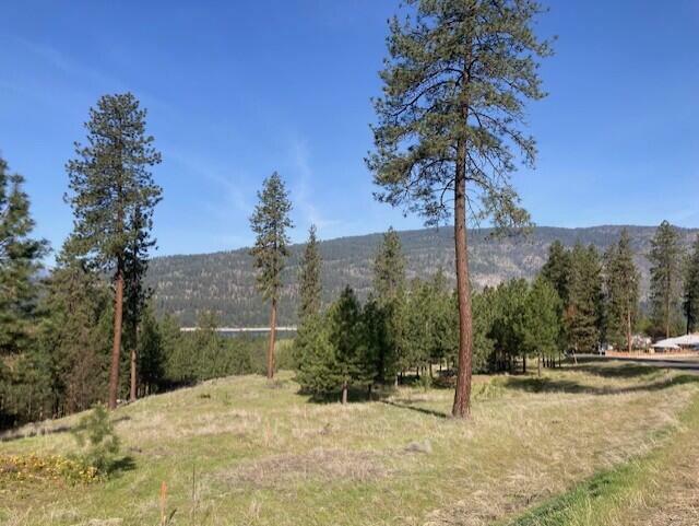 Property Photo: 1349 Lake Roosevelt Way WA 99141