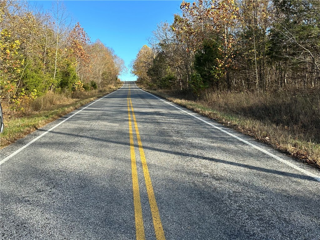 Property Photo:  Posy Mountain Drive  AR 72732 