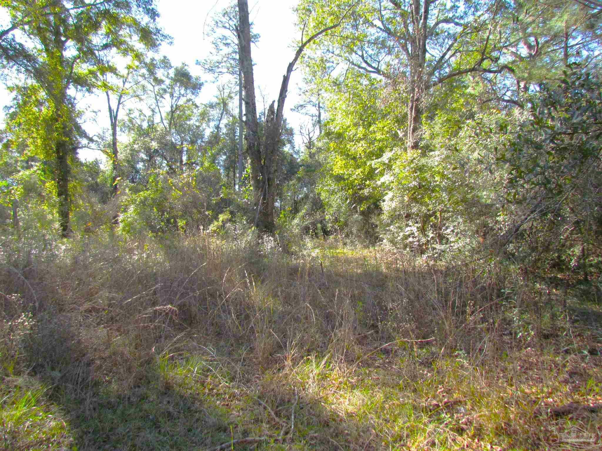 Property Photo:  000 McCall Rd  FL 32535 