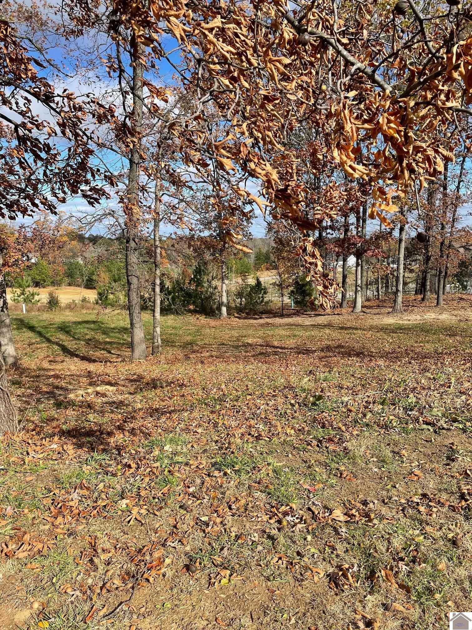 Property Photo:  Lot 94 Forest Ridge Drive  KY 42003 