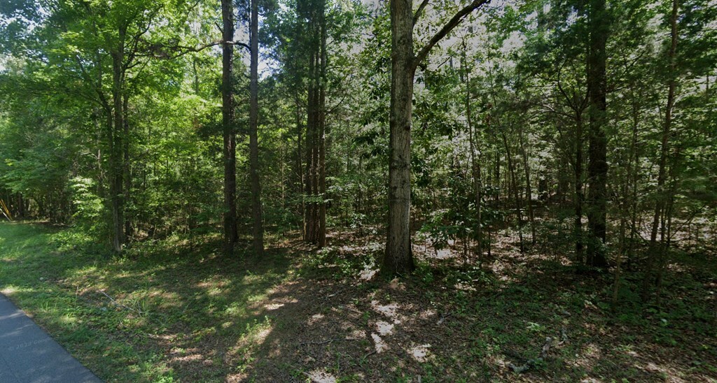 Property Photo:  Lots 94D &Amp 93D Melody Drive  GA 31831 