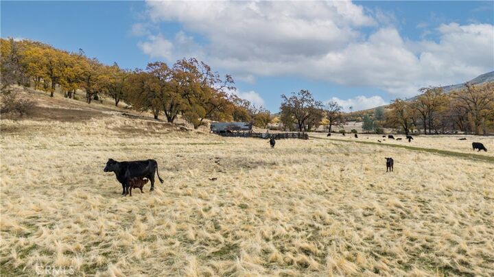 Property Photo:  11158 Rocky Creek Road  CA 95457 