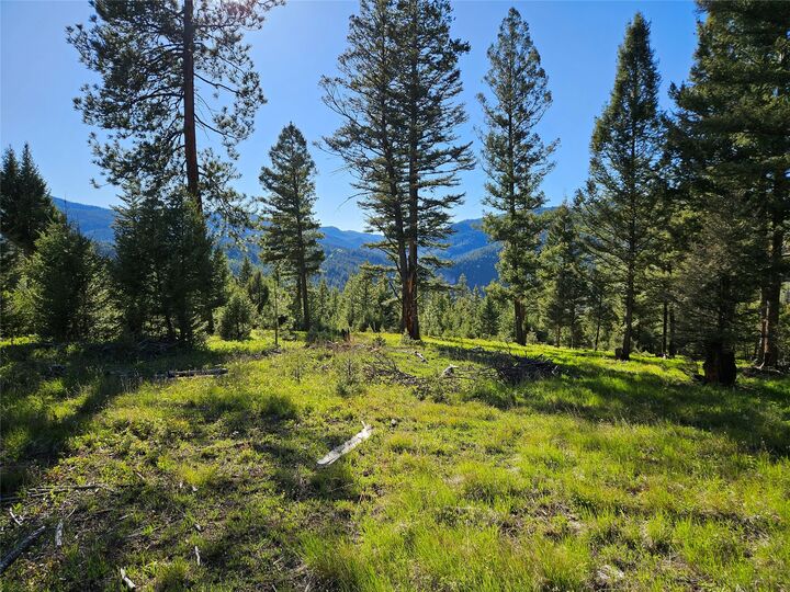 Property Photo:  202 Packer Gulch Road  MT 59832 