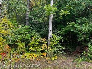 Photo de la propriété: 7 Shore Road ON N0H 2L0