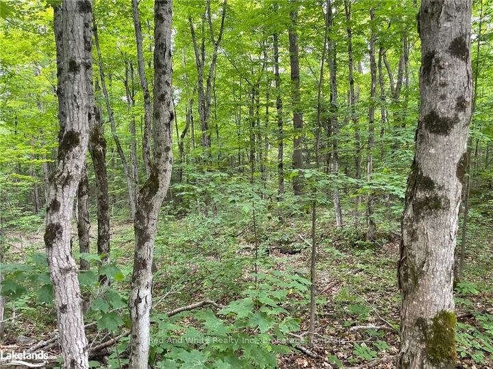 Property Photo: 23 Ahmic Lake Road ON P0A 1A0