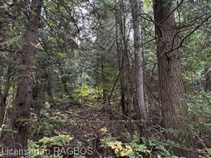 4 Shore Road  Saugeen Shores ON N0H 2L0 photo