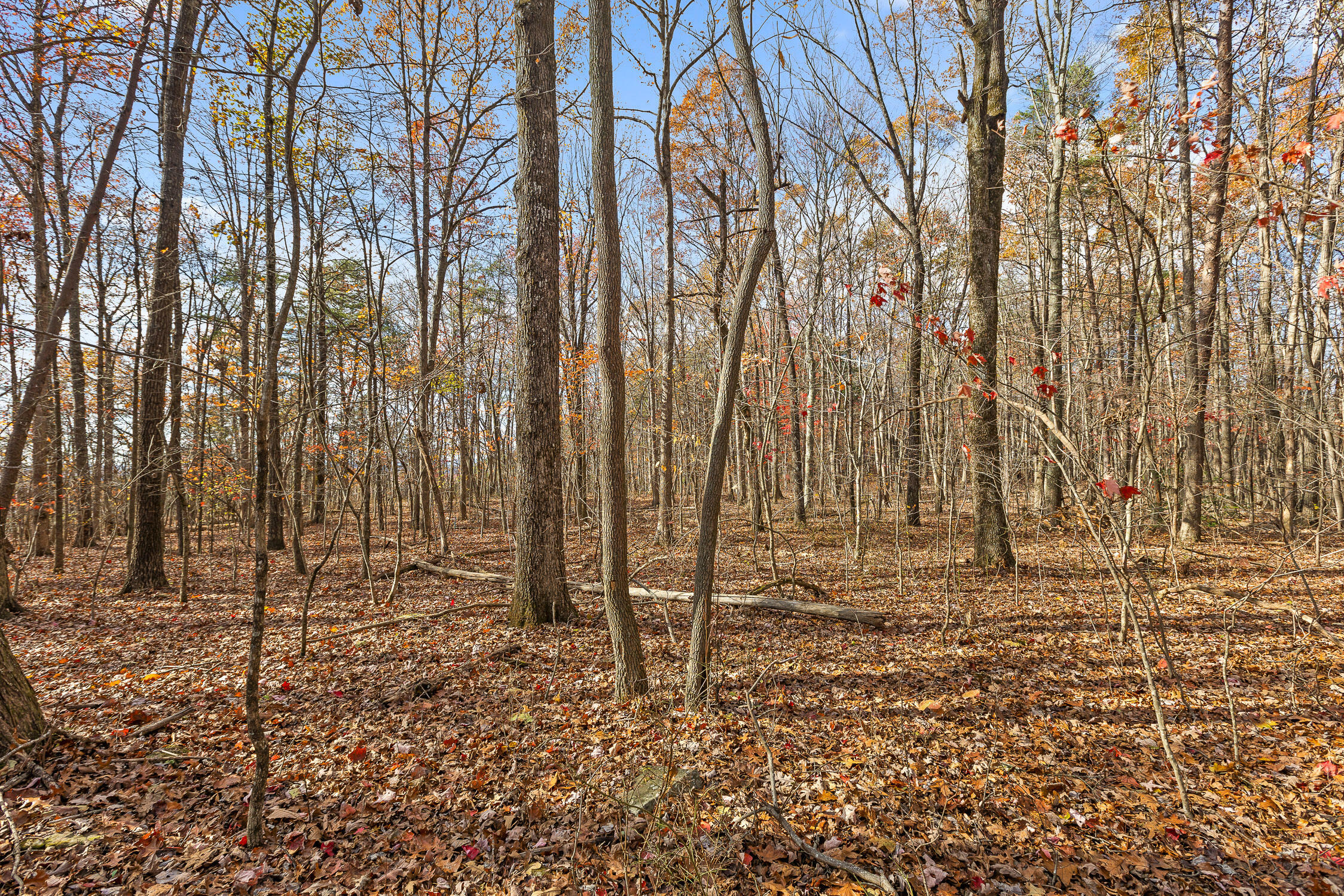 Property Photo:  0 Shivas Crest  GA 30738 