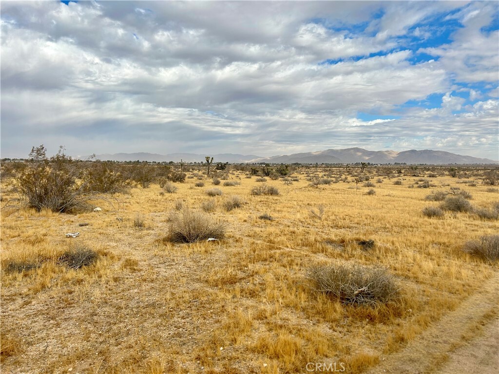 Property Photo:  0 Gorham Rd  CA 92308 