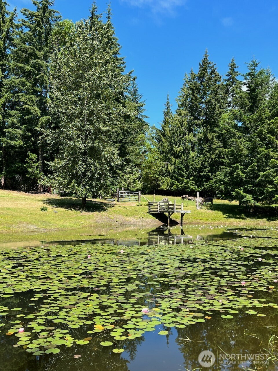 Property Photo: 6529 Key Peninsula Hwy NW WA 98349