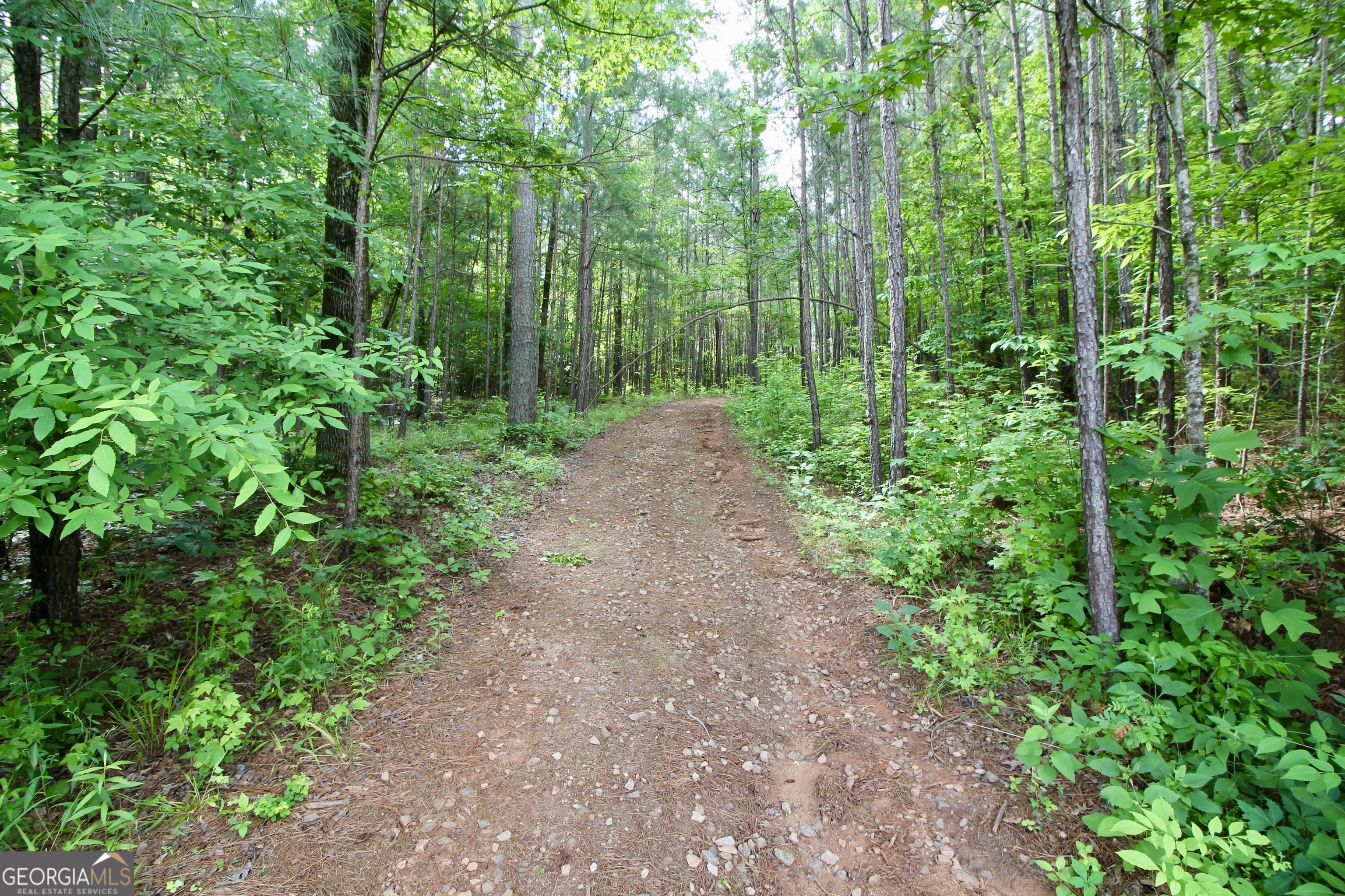 Property Photo:  207 River Overlook  GA 31029 