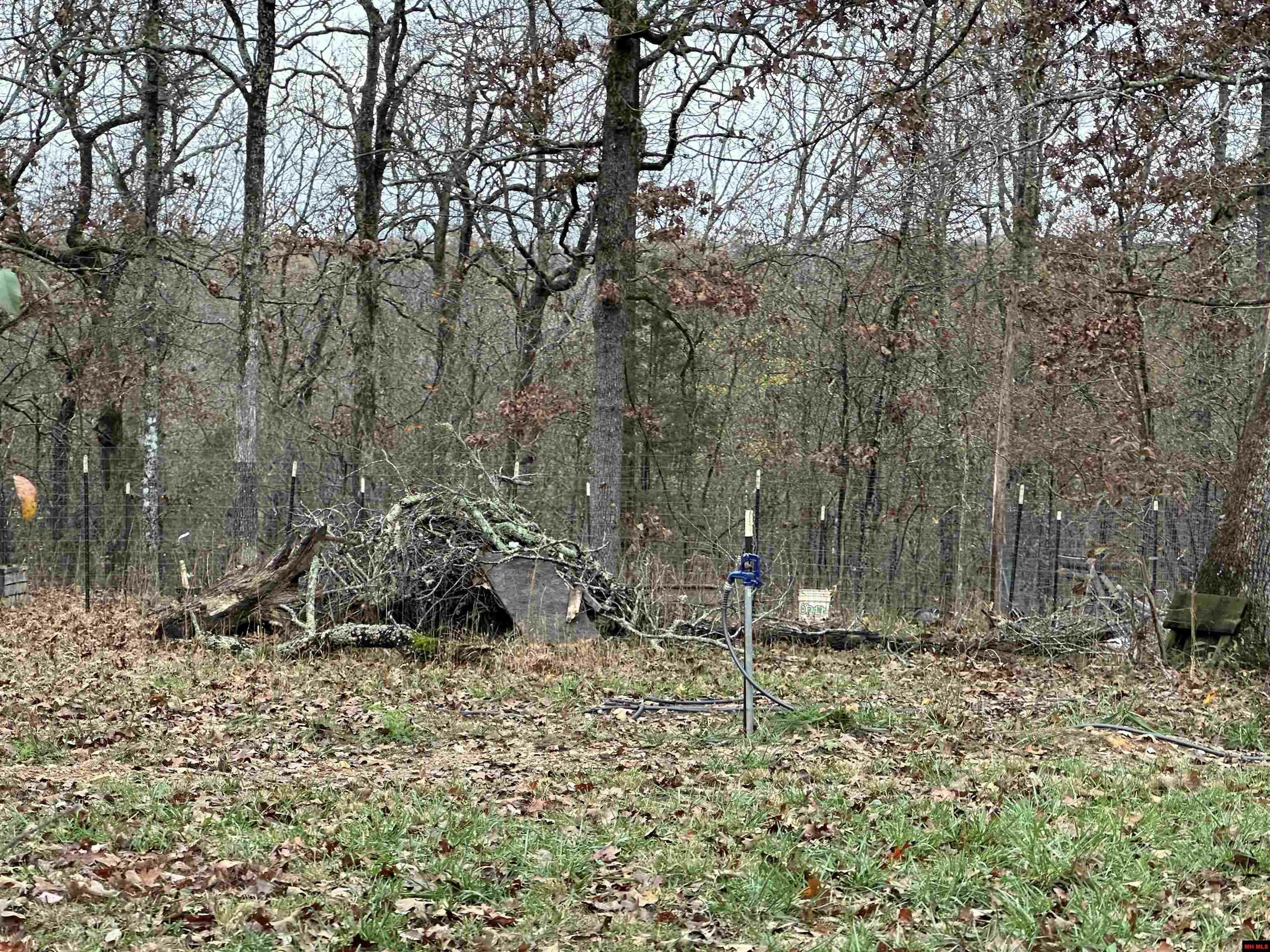 Property Photo: 23 Jayda Lane AR 72623