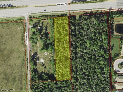 11188 Immokalee Road  Naples FL 34120 photo