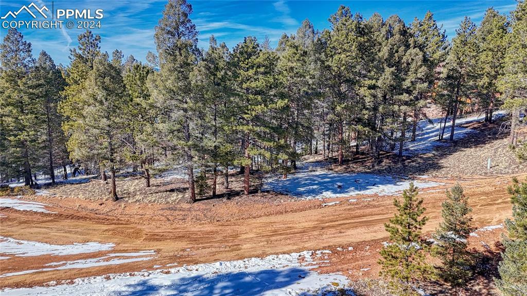Property Photo: 79 Huntsman Circle CO 80816