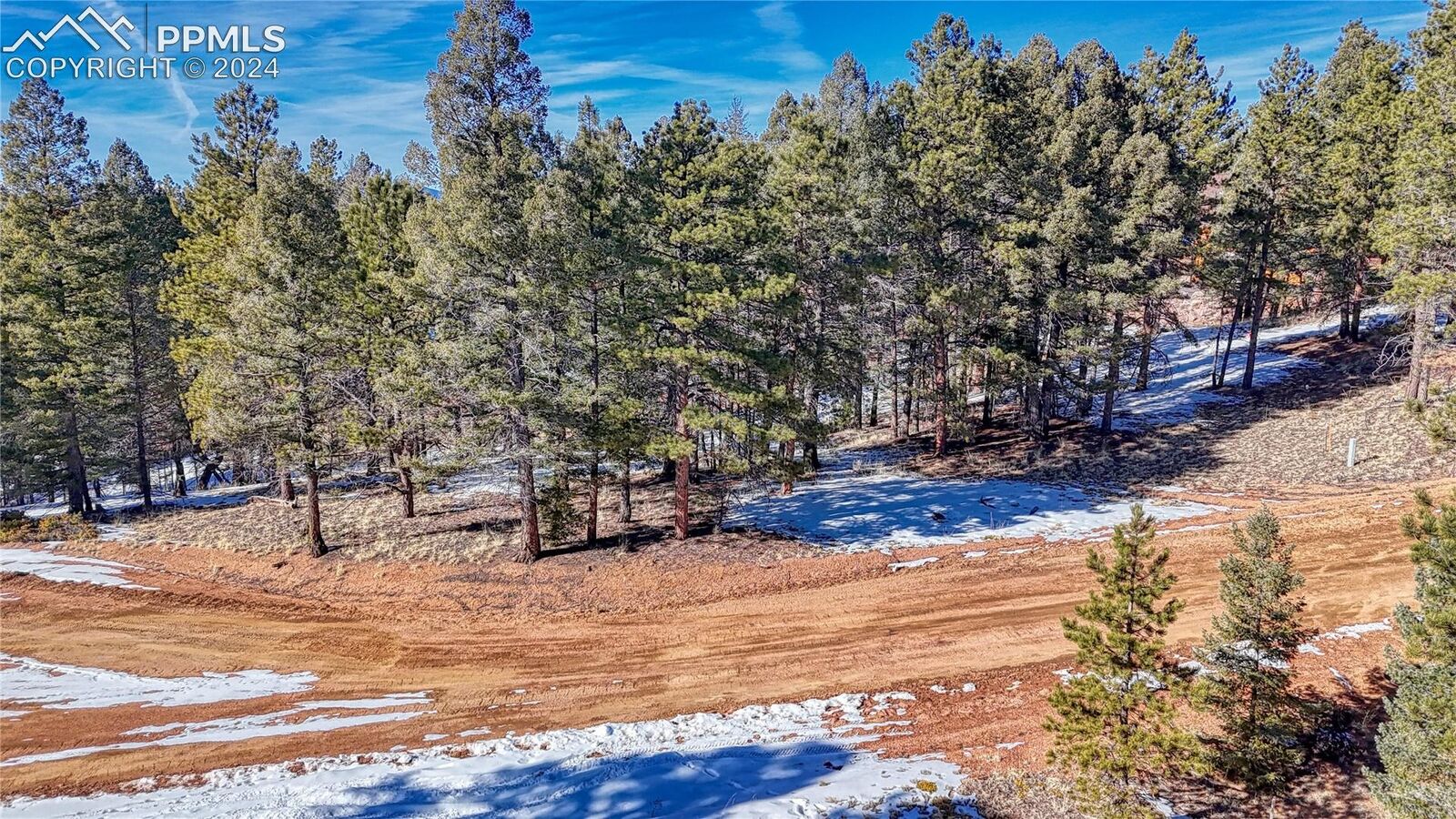 Property Photo:  79 Huntsman Circle  CO 80816 