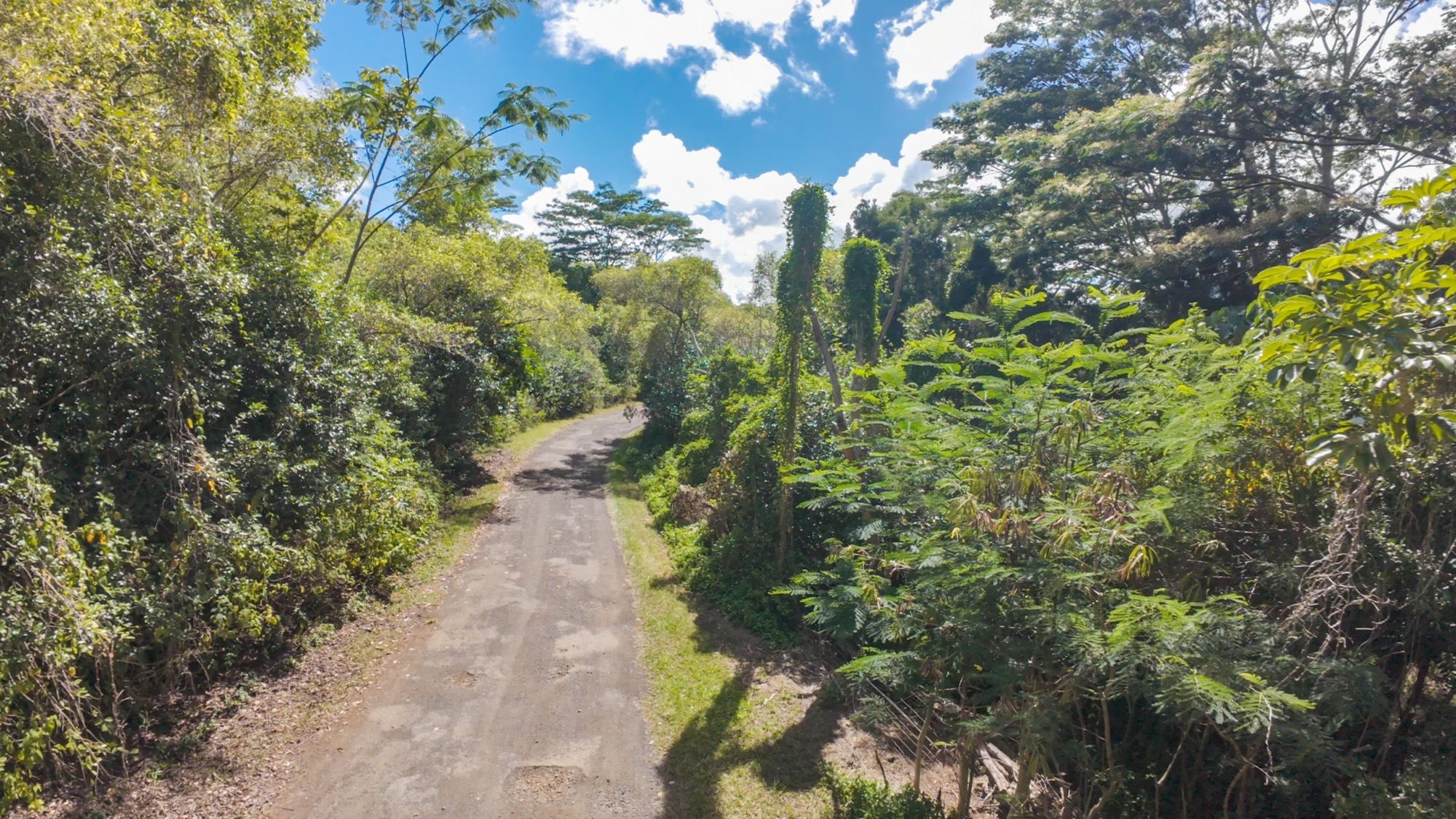 Property Photo:  Waipouli Rd 5  HI 96746 