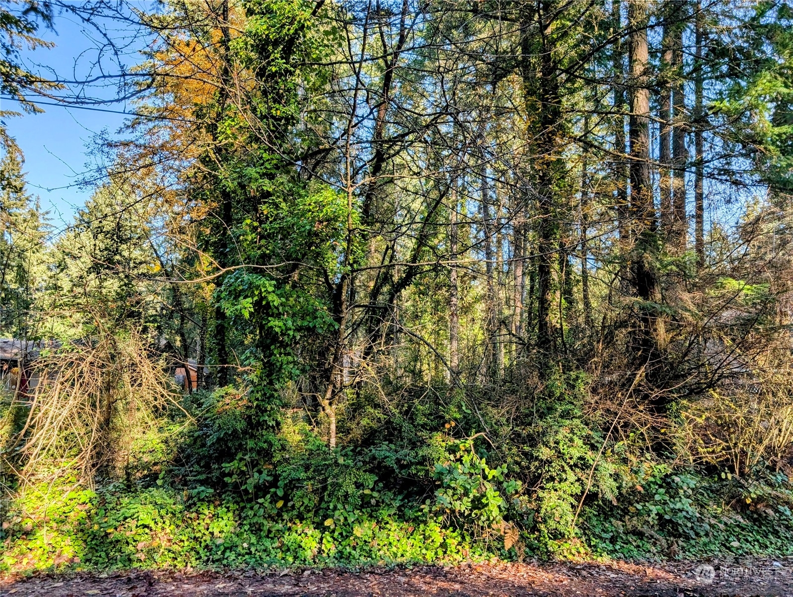 Property Photo:  14713  106th Street Ct NW  WA 98329 