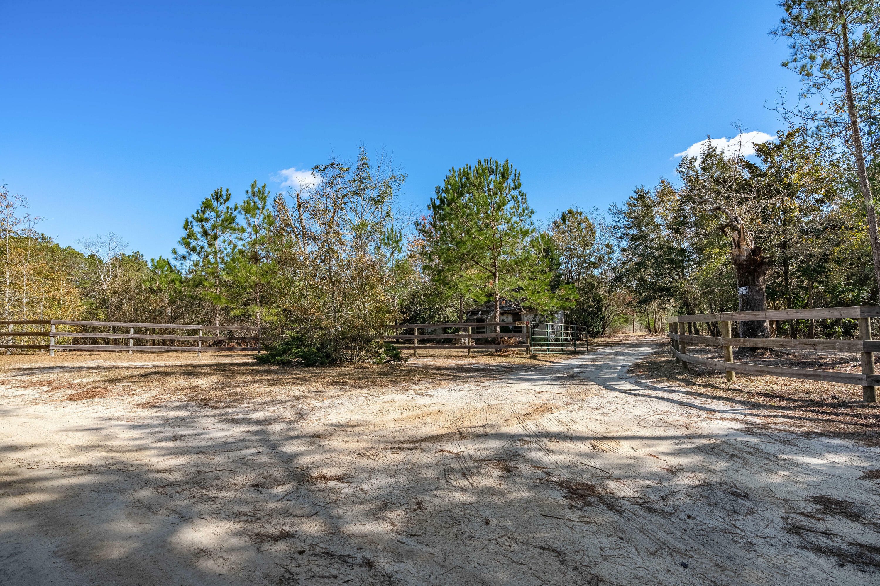 Property Photo:  491 Shealy Pond Road  SC 29105 