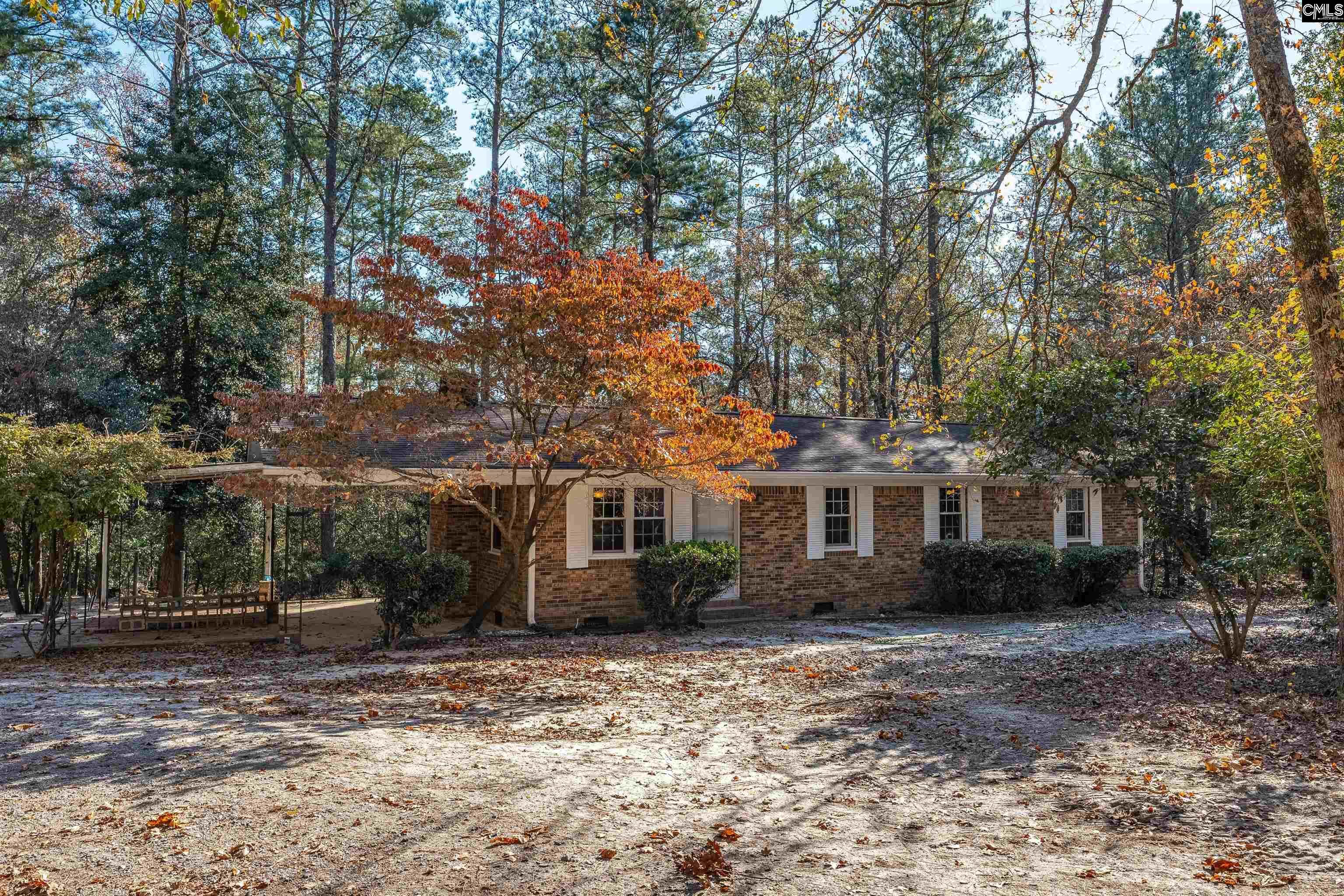 Property Photo: 491 Shealy Pond SC 29105