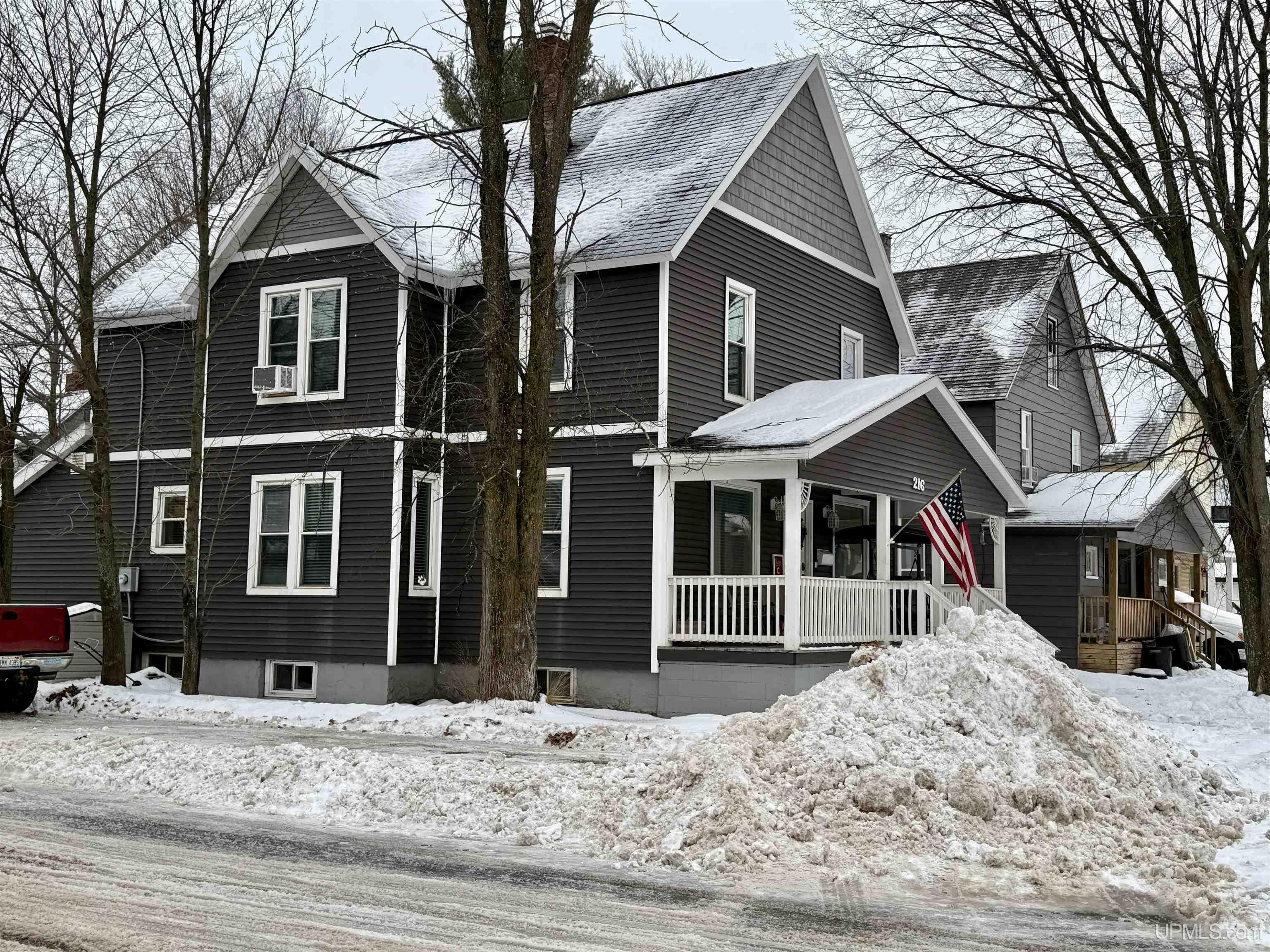 Property Photo:  216 N Teal Lake Avenue  MI 49866 